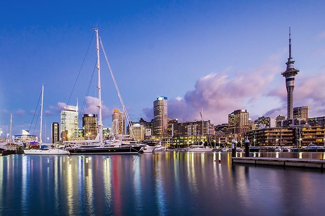 The City Lights: a Unique Electric Bike Tour of Auckland by Night! - Gear and Equipment Provided