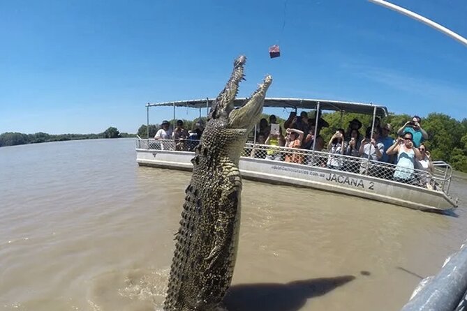 The Croc Bus to the Famous Jumping Crocodile Cruise - Pricing Details and Options