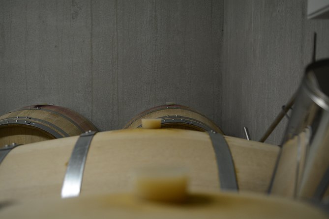 The CUBE: Private Tour of Semi-Gravity Cubist Cellar With Wine Tasting - Wine Tasting Experience