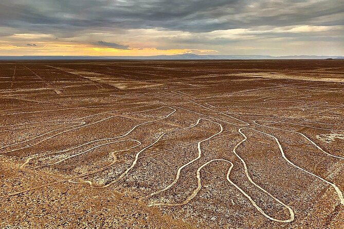 The Nazca Lines & Huacachina Oasis From Lima - Tour Guide and Customer Service