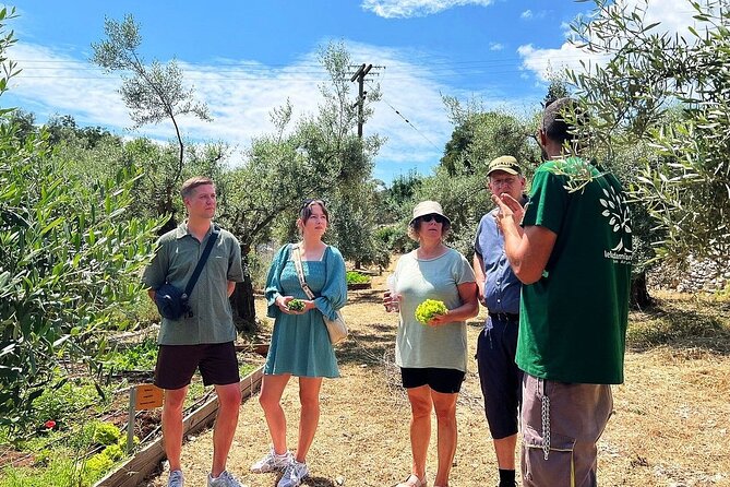 The Olive Oil Experience @ Lefkada Micro Farm - Meeting Details