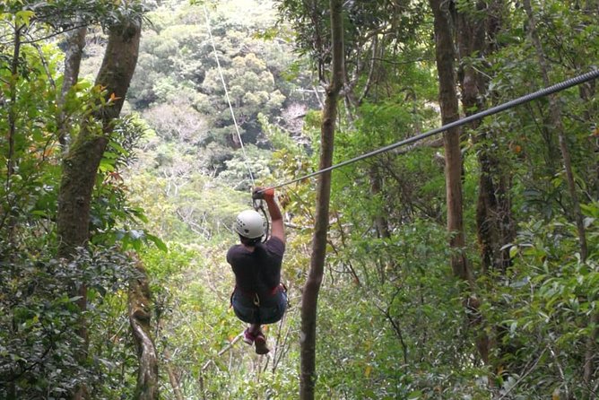 The Original Canopy Tour Monteverde, Zipline - Tour Details