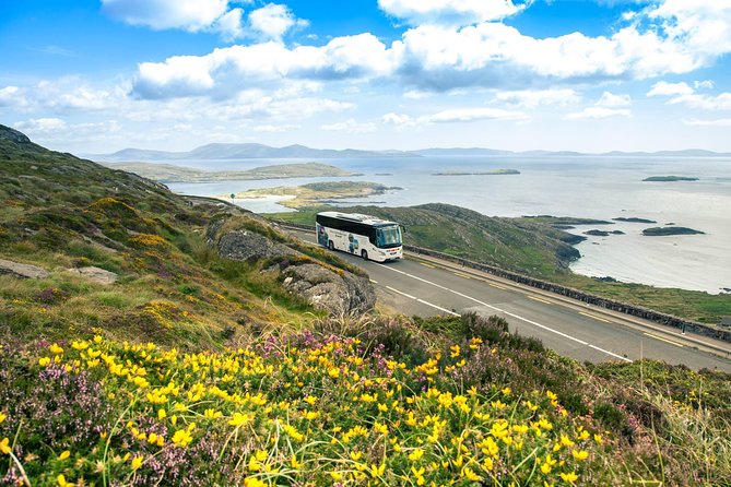 The Ring of Kerry Day Trip Including Killarney Lakes and National Park - Driver Incident and Customer Reviews