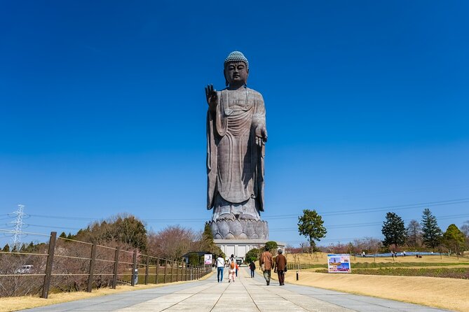 The Tallest Great Buddha Spot Walking Tour - Tour Inclusions and Details
