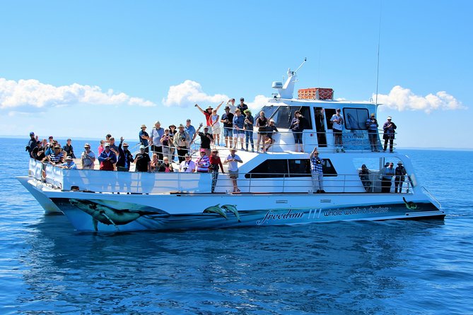 Three-Quarter Day Hervey Bay Premium Whale Watching Cruise - Itinerary