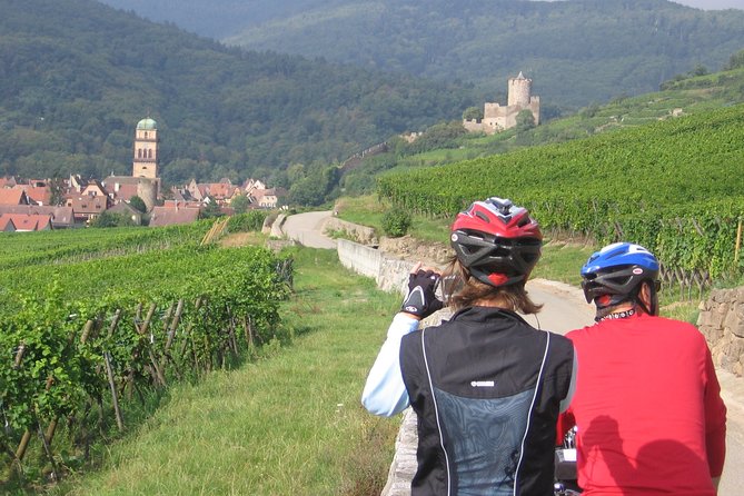 Through Alsace Vineyards and Wine Villages Private Bike Tour - Logistics and Meeting Point