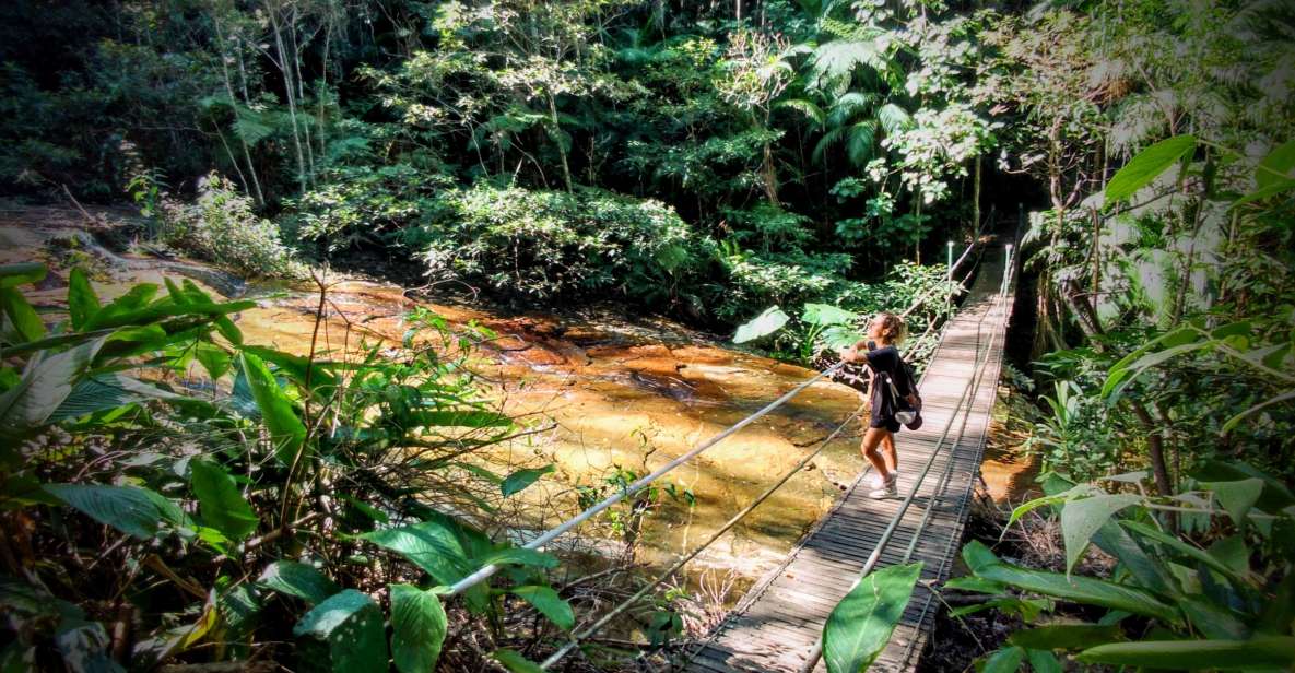 Tijuca Forest: Adventure & History Half-Day Hike - Experience Highlights