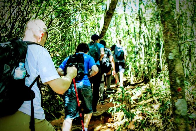 Tijuca Forest Challenge Full-Day Hike (Small-Group or Private) - Highlights of the Tour