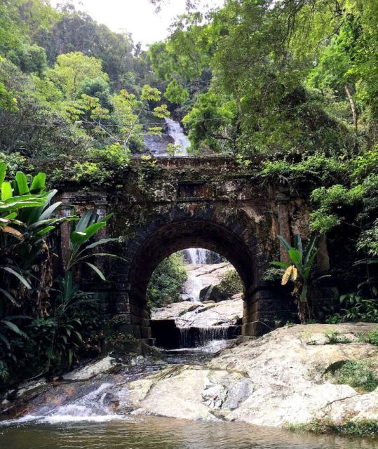 Tijuca Forests Hike: Caves, Waterfalls and Great Views - Highlights