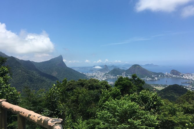 Tijuca National Park Half-Day Hiking Tour  - Rio De Janeiro - Pricing and Group Size