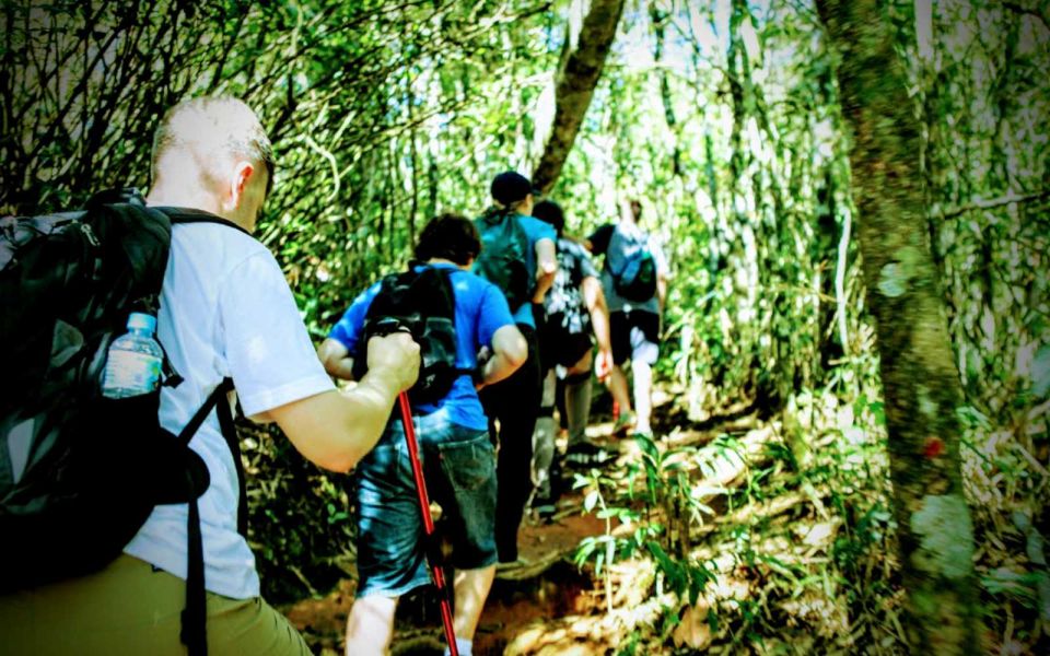 Tijuca National Park Small-Group Hike to Pedra Bonita - Experience Highlights