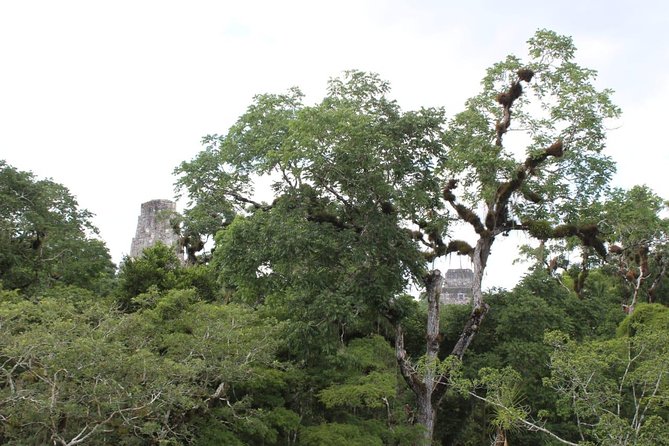 Tikal Exclusive Tour From Flores All-Inclusive - Cancellation Policy