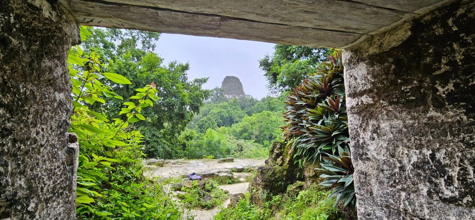 Tikal From Flores or Mundo Maya Airport - Tour Highlights