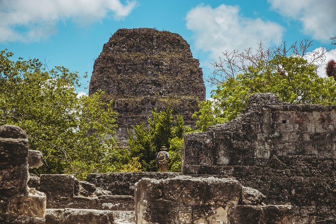 Tikal From Guatemala - Wildlife Encounters in Tikal