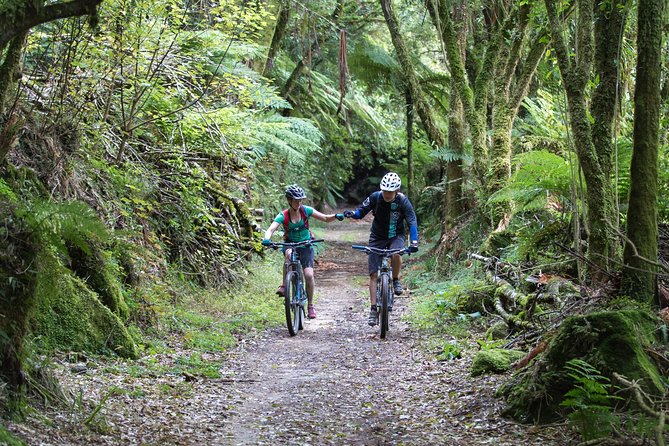 Timber Trail - Ongarue to Pureora Shuttle 2 Day Ride - Bike Hire Details