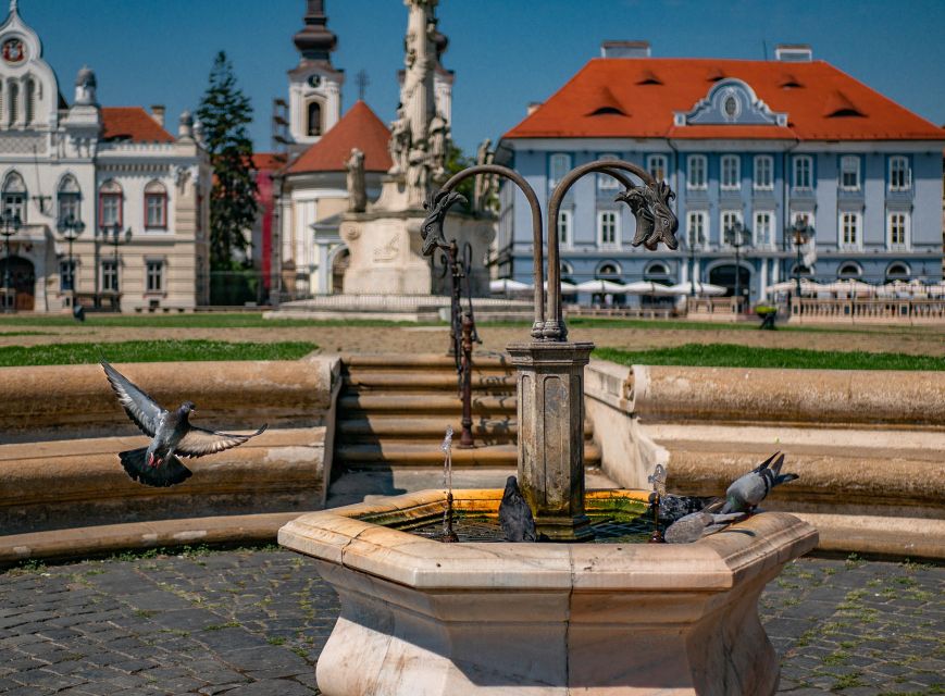 TimișOara: Express Walk With a Local in 60 Minutes - Experience Highlights