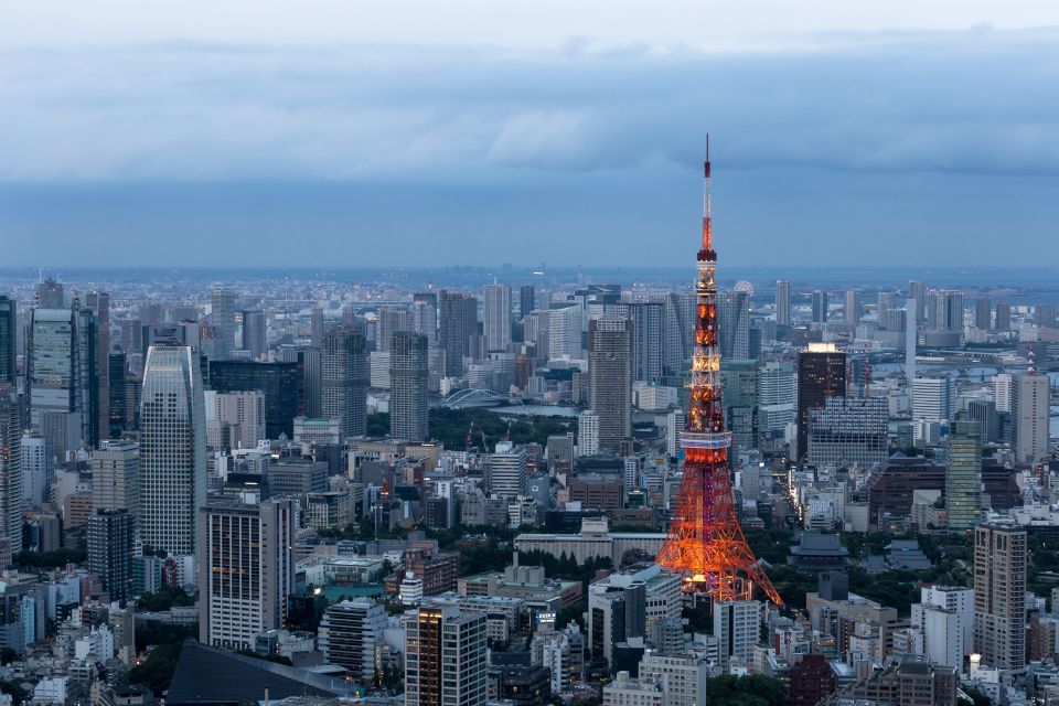 Tokyo: 1-Day Private Customizable Tour by Car - Customizable Tour Experience