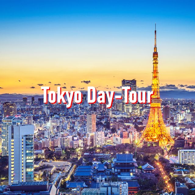 Tokyo: 10-Hour Customizable Private Tour With Hotel Transfer - Customizable Itinerary Options