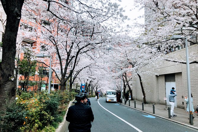 Tokyo Cherry Blossoms Blooming Spots E-Bike 3 Hour Tour - Pricing and Assistance