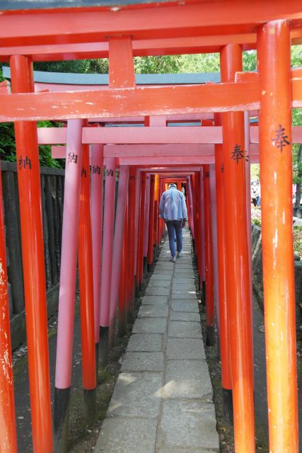 Tokyo: Famous Spots and Hidden Gems of the Capital - Asakusa: Traditional Charm and Culture