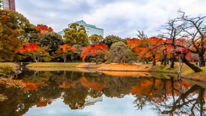 Tokyo: Full-Day Japanese Garden Private Guided Tour - Check Availability and Language Options