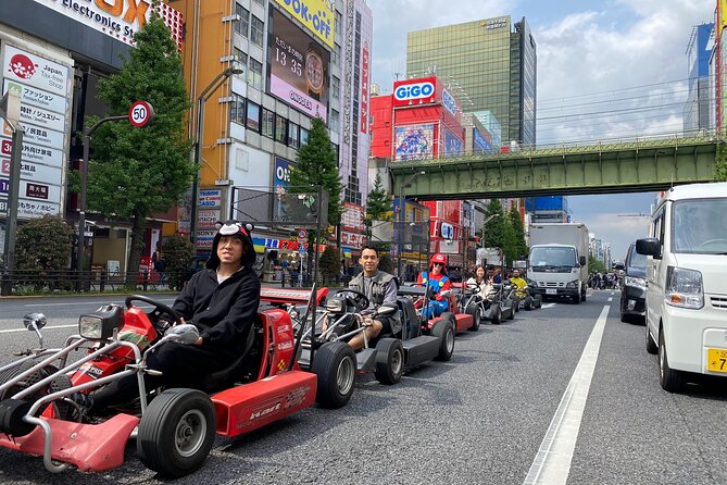 Tokyo Go-Kart Rental With Local Guide From Akihabara - Tour Overview