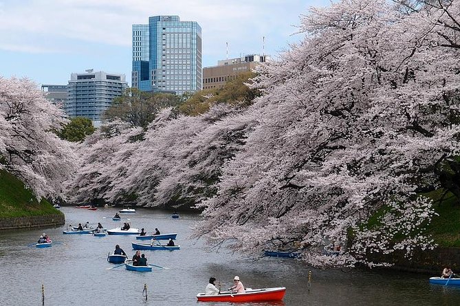 Tokyo Like a Local: Customized Private Tour - Tour Details