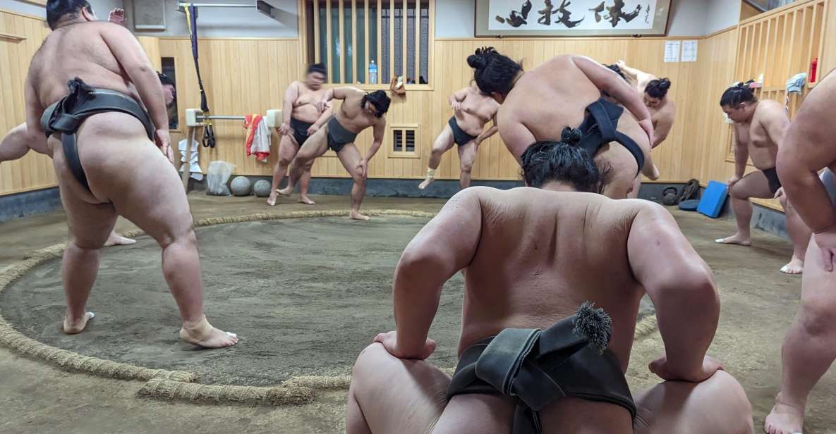 Tokyo: Morning Sumo Practice Viewing - Watch Morning Sumo Practice Live