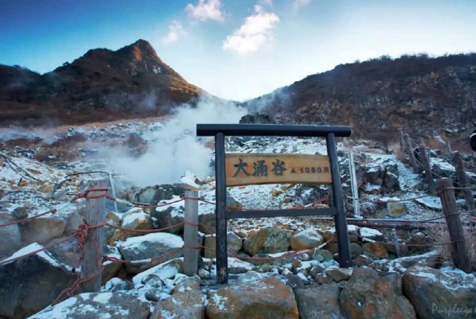 Tokyo: Mt Fuji Area, Lake Ashi, Owakudani, Onsen 1-Day Tour - Important Information