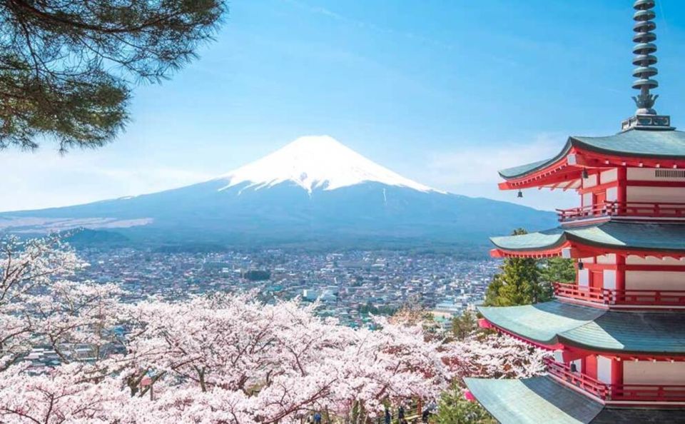 Tokyo: Mt Fuji Day Tour With Kawaguchiko Lake Visit - Experience