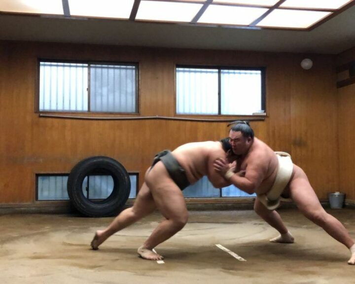 Tokyo: Sumo Morning Practice Tour in Ryogoku - Group Size and Language Support