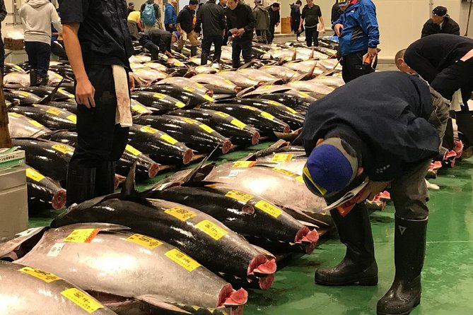 Tokyo Toyosu Fish Market Auction With Tsukiji Tuna Breakfast (Mar ) - Meeting and Pickup Details