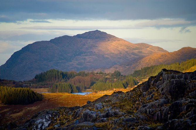 Torc Mountain & Waterfall Hike. Killarney. Private Guided Group. 3½ Hours. - Pricing and Inclusions