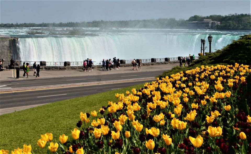 Toronto: Small-Group Niagara Falls Day Trip - Pickup and Departure Information