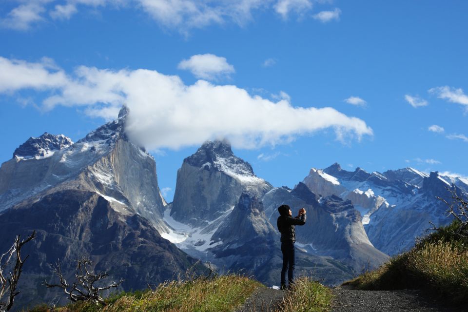 Torres Del Paine Park Full-Day Tour From Puerto Natales - Experience Highlights