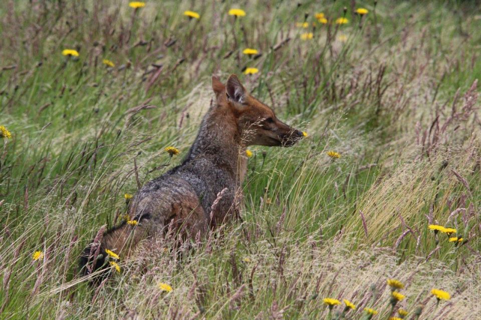 Torres Del Paine Photographic Safari - Itinerary Details