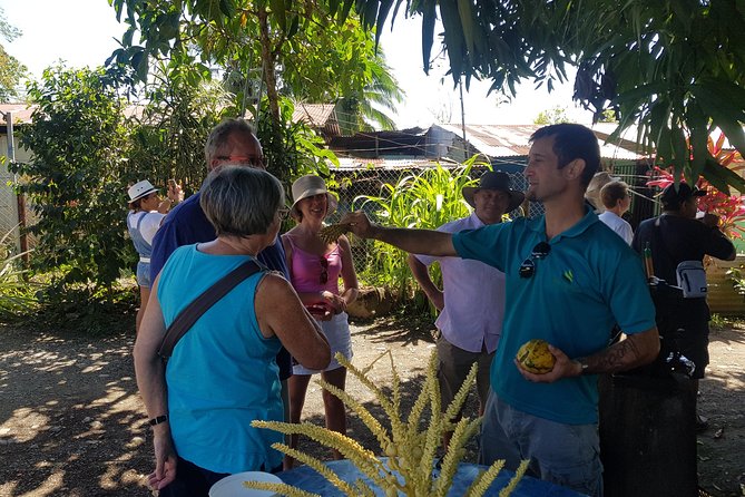 Tortuguero Canals Including Playa Bonita and Puerto Limon Highlights - Playa Bonita: Sandy Caribbean Beach