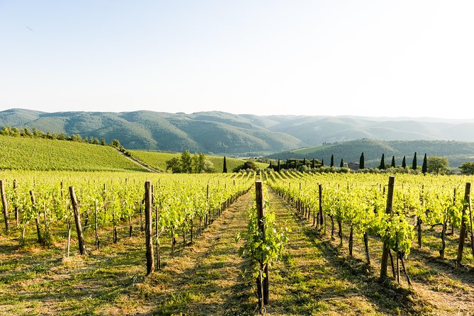 Tour and Tasting at an Organic Winery in the Heart of Chianti Classico Area - Booking Process and Requirements