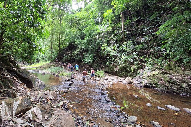 Tour at the Chagres Rainforest and Embera Indigenous Village - Inclusions and Availability Details