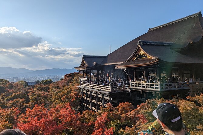 Tour in Kyoto With a Goverment Certified Tour Guide - Operator Communication and Cancellation