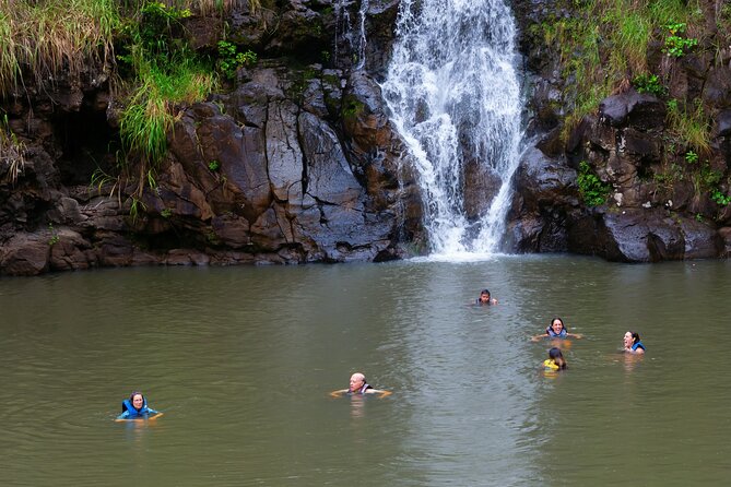 Tour of North Shore & Waimea Waterfall - Booking and Cancellation Policies