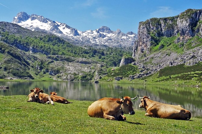 Tour to the Lakes of Covadonga and Sanctuary From Oviedo - Booking Information