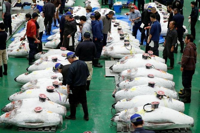 Toyosu Market Morning Tuna Auction and Tsukiji Food Tour With Licensed Guide - Inclusions