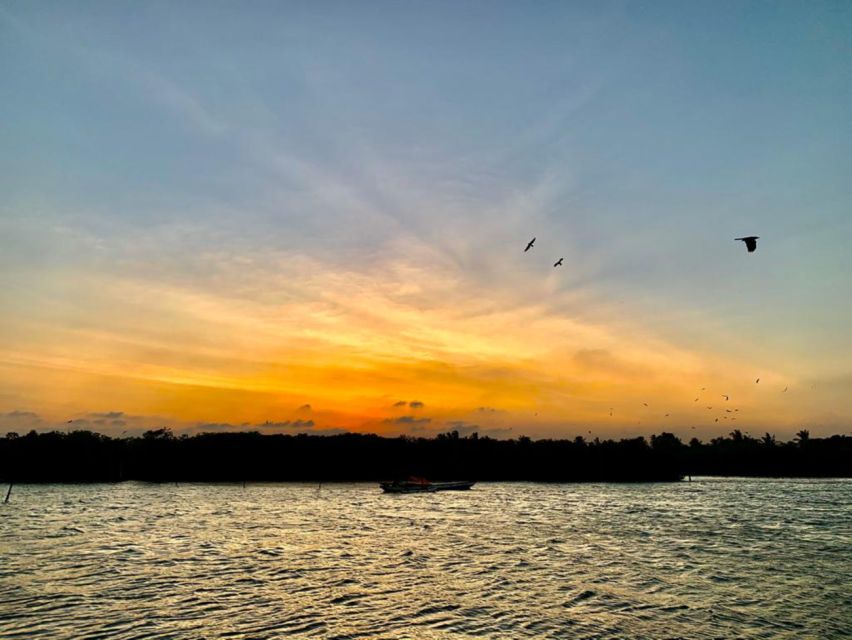 Traditional Catamaran Ride With Negombo City Highlights - Guided Experience and Cultural Immersion