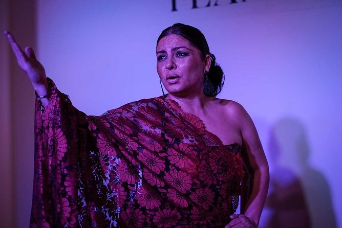 Traditional Flamenco Show - Show Highlights