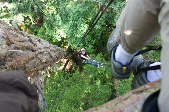 Tree Canopy Climbing on Lopez Island - Meeting Location Details