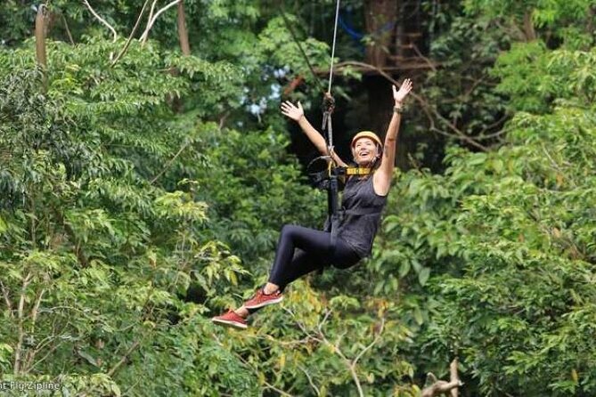 Treetops Zipline Tour With Drop off Transfer to Nadi Airport - Tour Inclusions