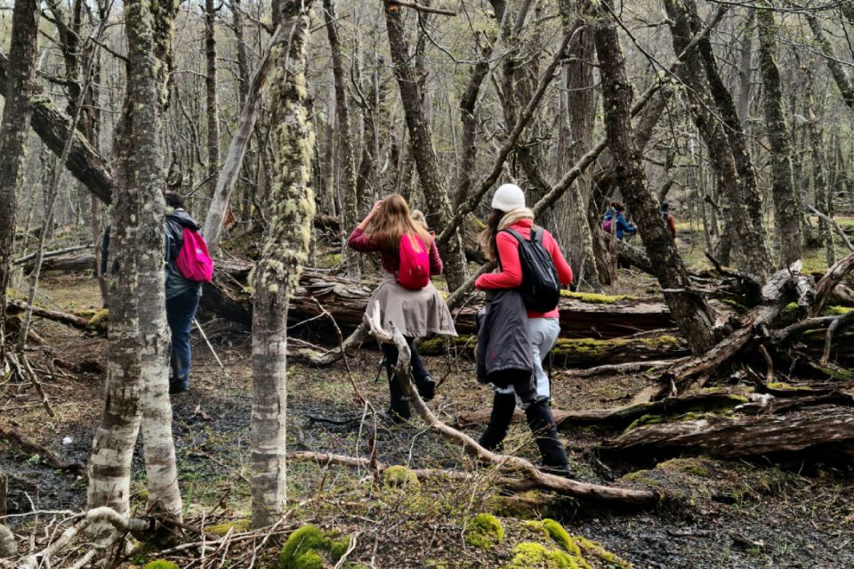 Trekking to Emerald Lagoon - Activity Information