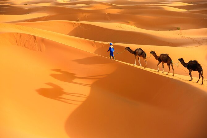 Trip of Your Dreams in 3 Days and 2 Nights in the Desert - Desert Adventure Activities