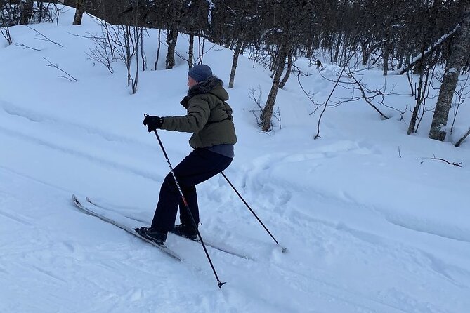 Tromso Cross Country Skiing for Beginners (Mar ) - Expectations and Info